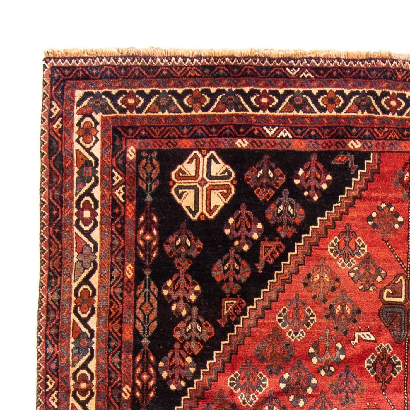 Shiraz Tapijt 323x235cm - Perzisch tapijt