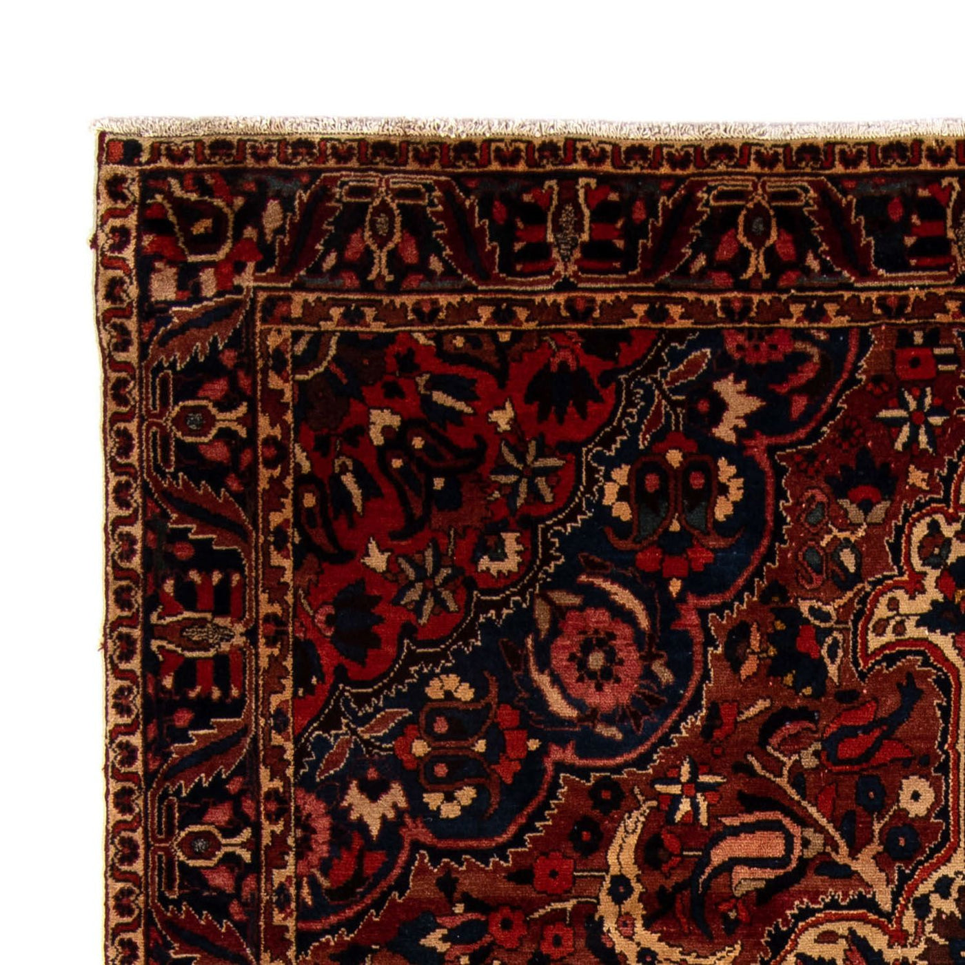 Bakhtiari Tapijt 342x224cm - Perzisch tapijt