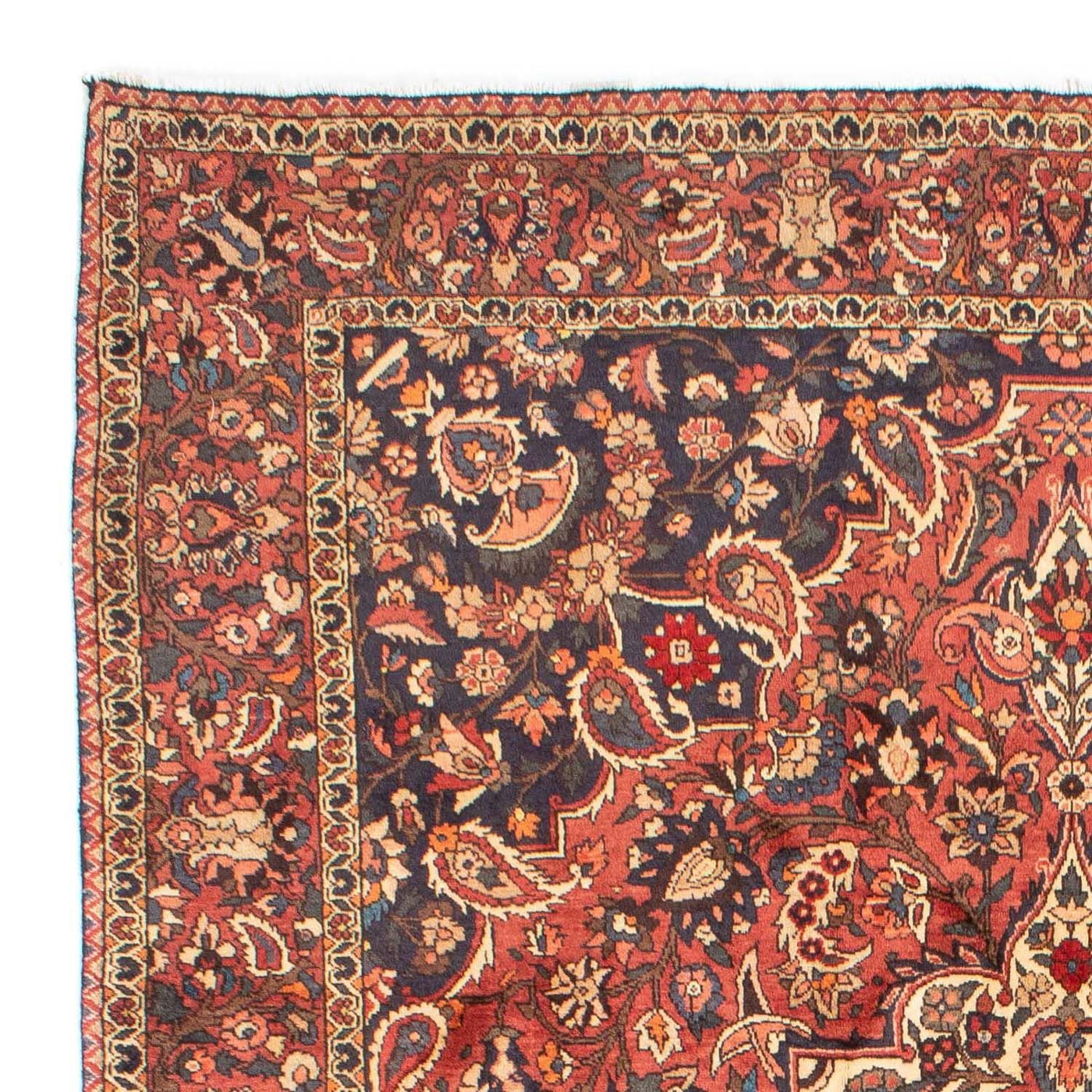 Bakhtiari Tapijt 313x204cm - Perzisch tapijt
