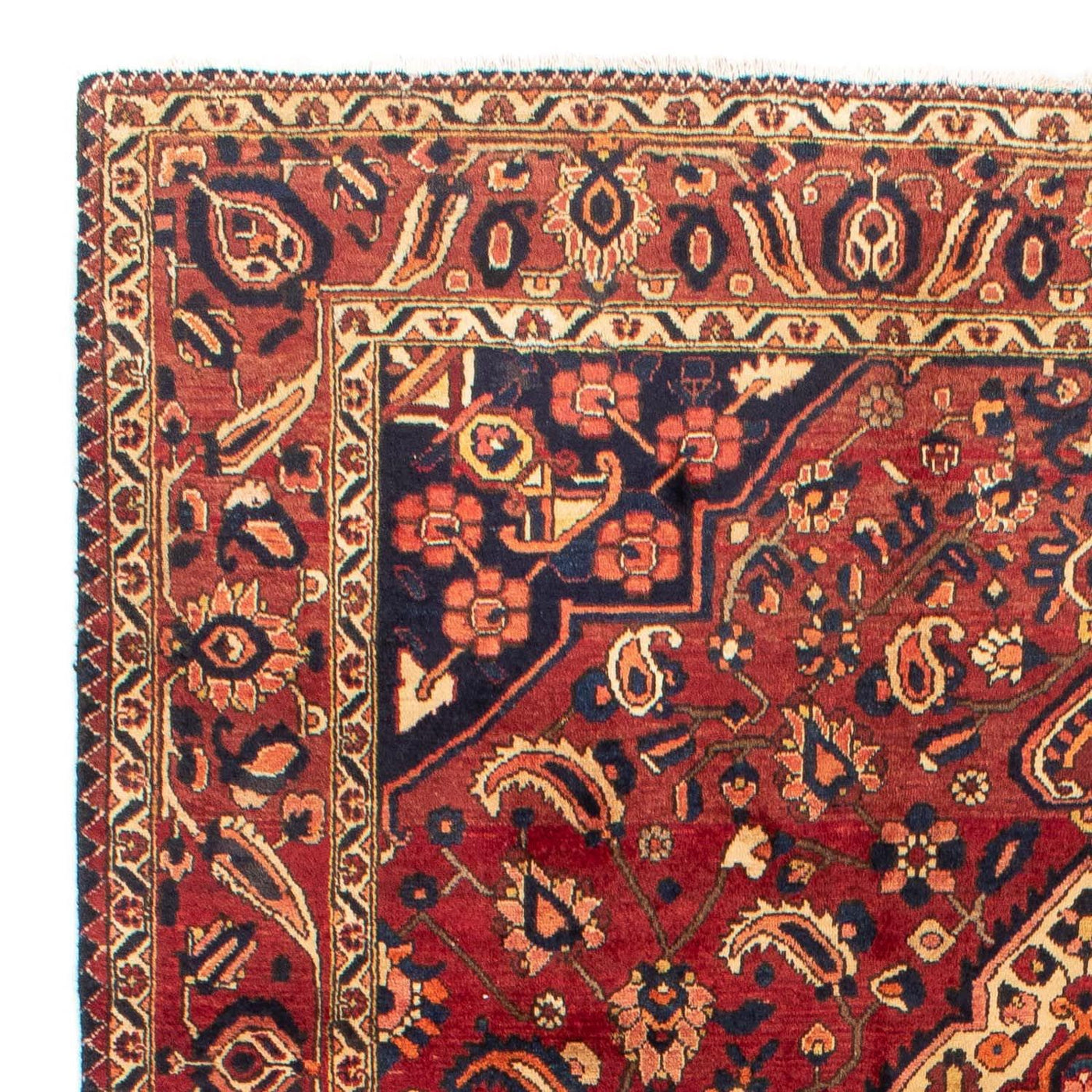 Bakhtiari Tapijt 318x211cm - Perzisch tapijt
