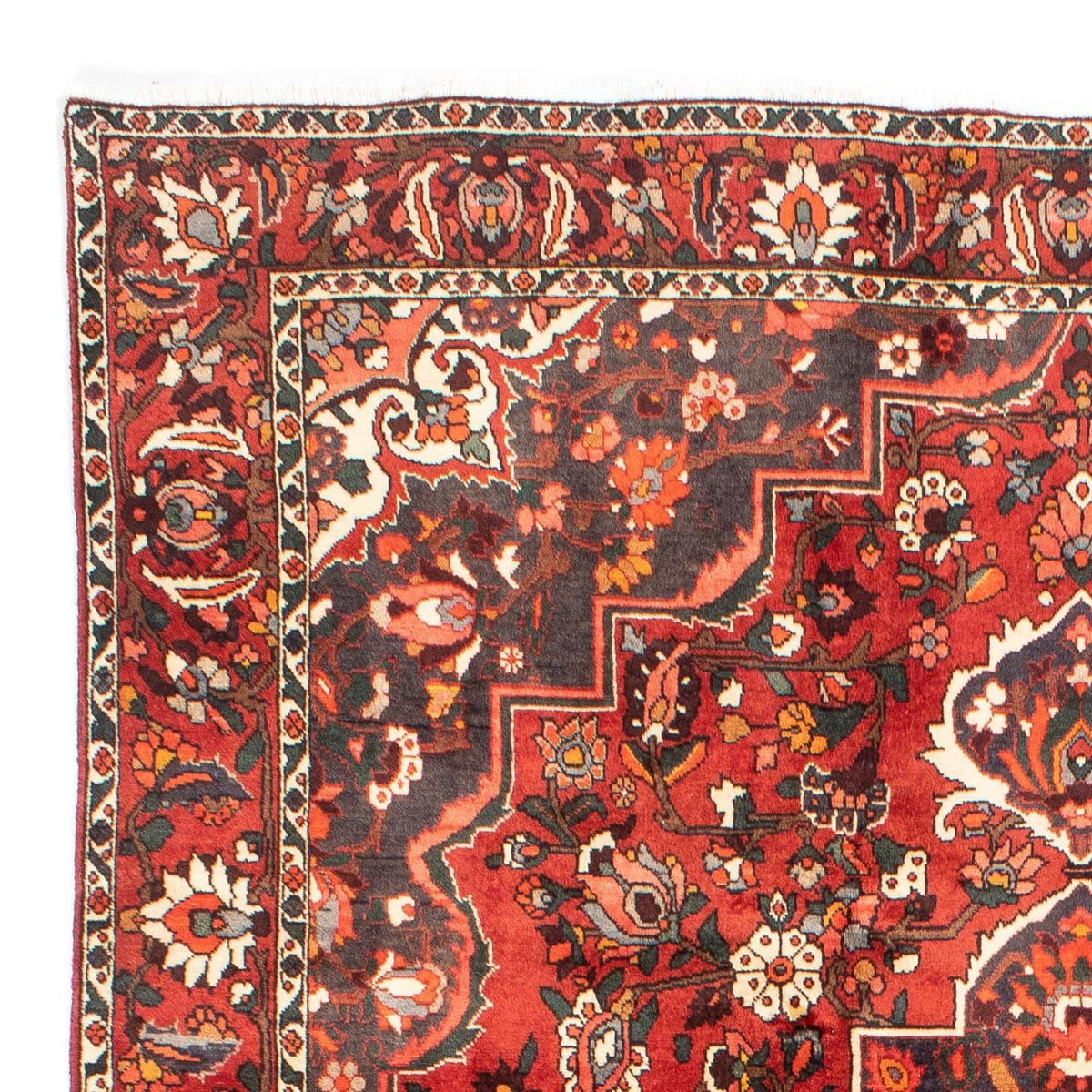 Bakhtiari Tapijt 207x300cm - Perzisch tapijt