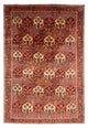 Bakhtiari Tapijt 205x297cm - Perzisch tapijt