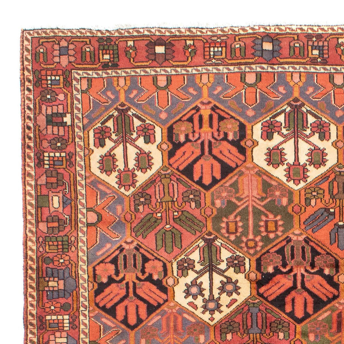 Bakhtiari Tapijt 205x297cm - Perzisch tapijt