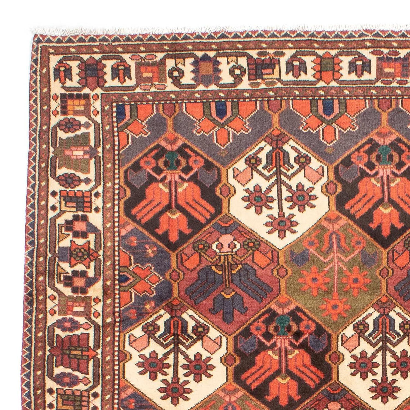 Bakhtiari Tapijt 287x207cm - Perzisch tapijt