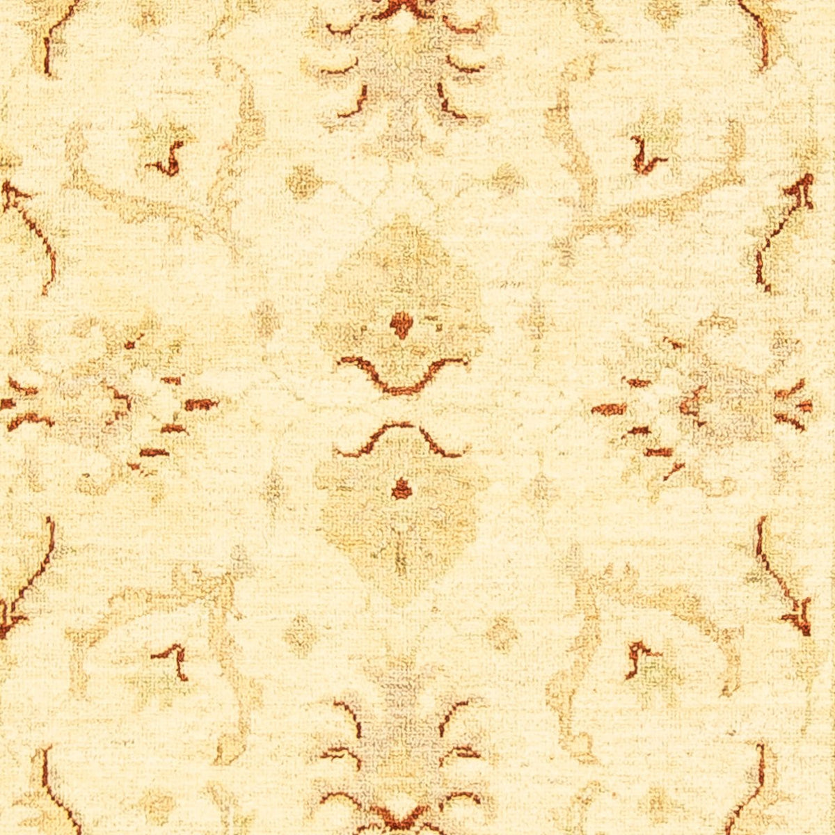 Ziegler tapijt - 151 x 100 cm - beige