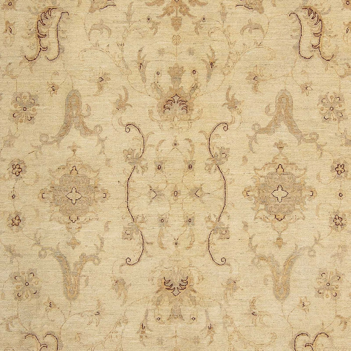 Ziegler tapijt - 295 x 234 cm - beige
