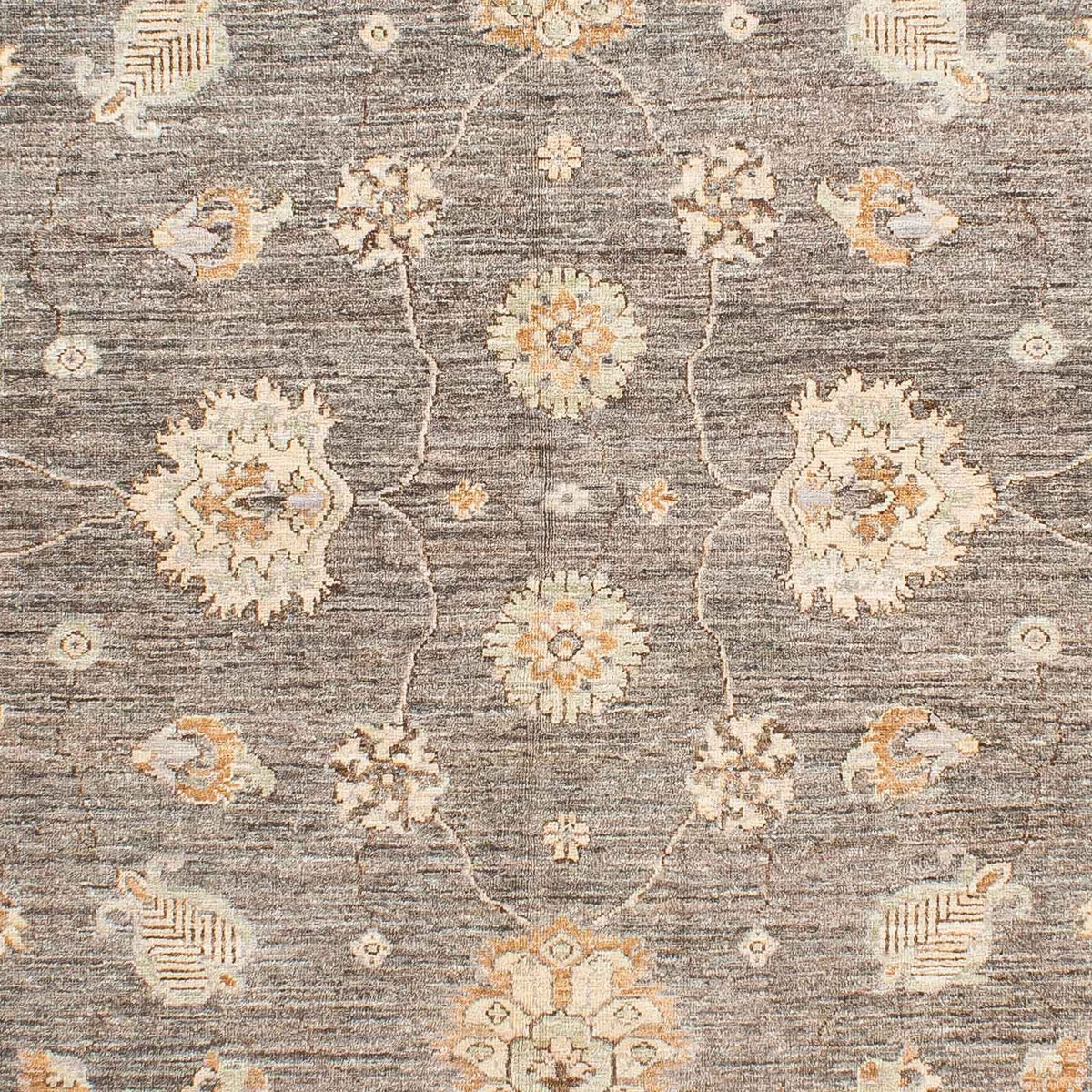 Ziegler tapijt - 242 x 173 cm - beige