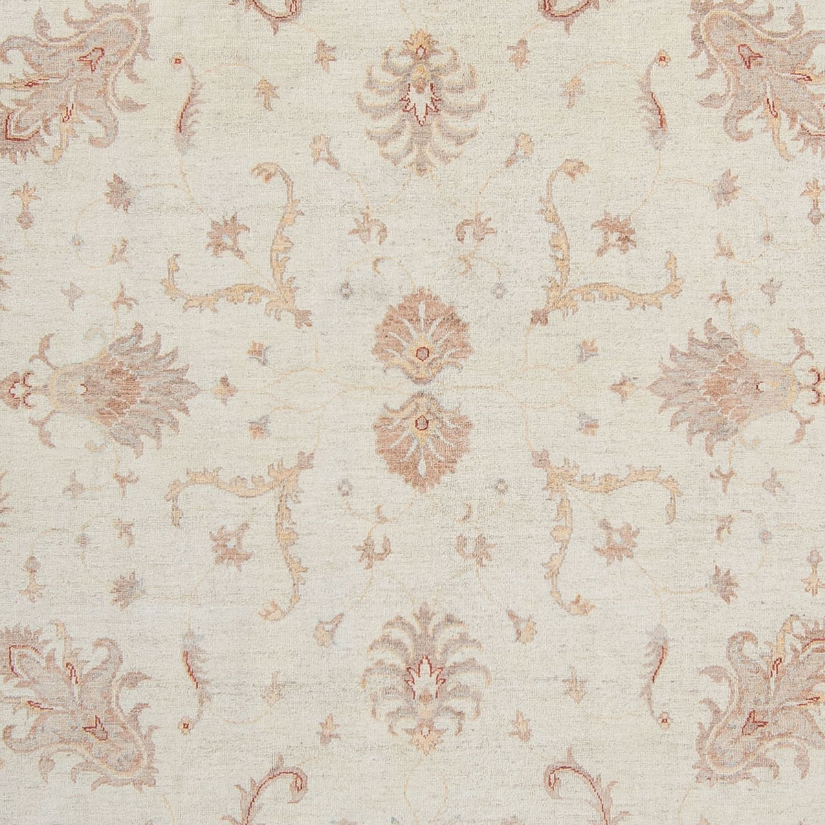 Ziegler tapijt - 358 x 248 cm - beige