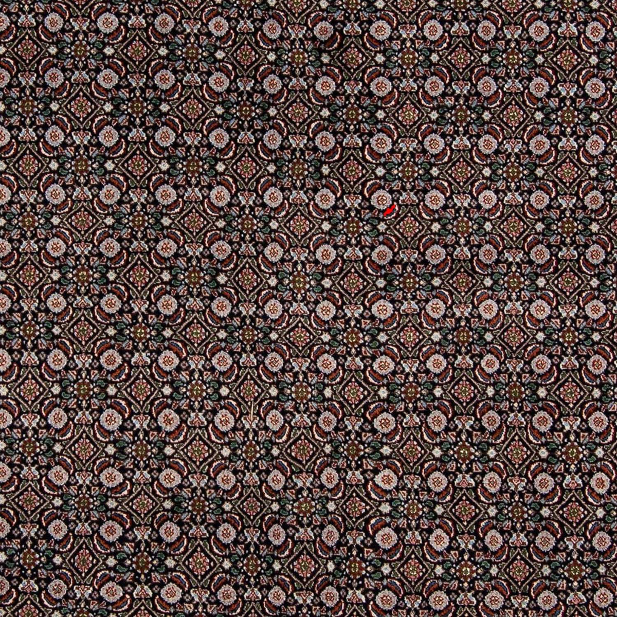 Perzisch tapijt - Klassiek - 295 x 192 cm - donkerblauw