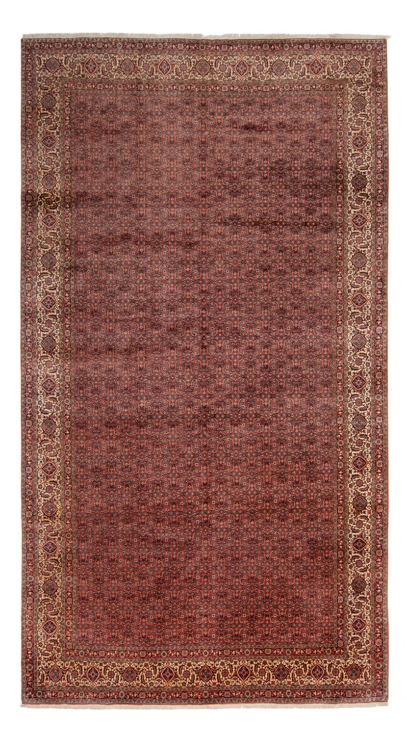 Perzisch tapijt - Bijar - Koninklijk - 482 x 256 cm - bruin