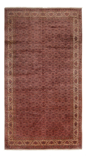 Perzisch tapijt - Bijar - Koninklijk - 482 x 256 cm - bruin