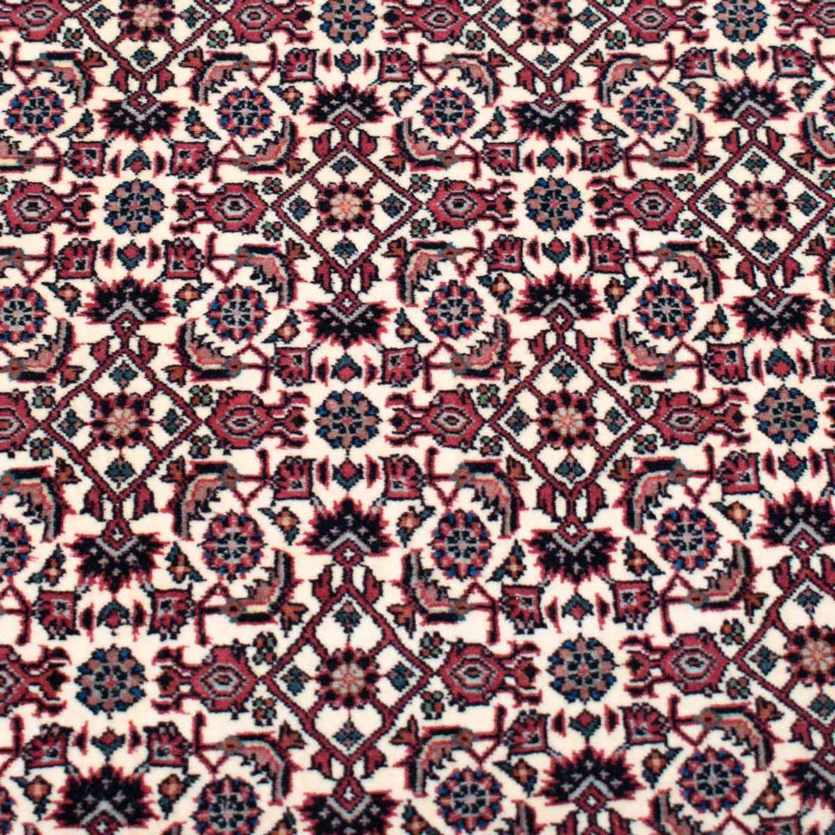 Perzisch tapijt - Bijar - Koninklijk vierkant  - 366 x 348 cm - beige