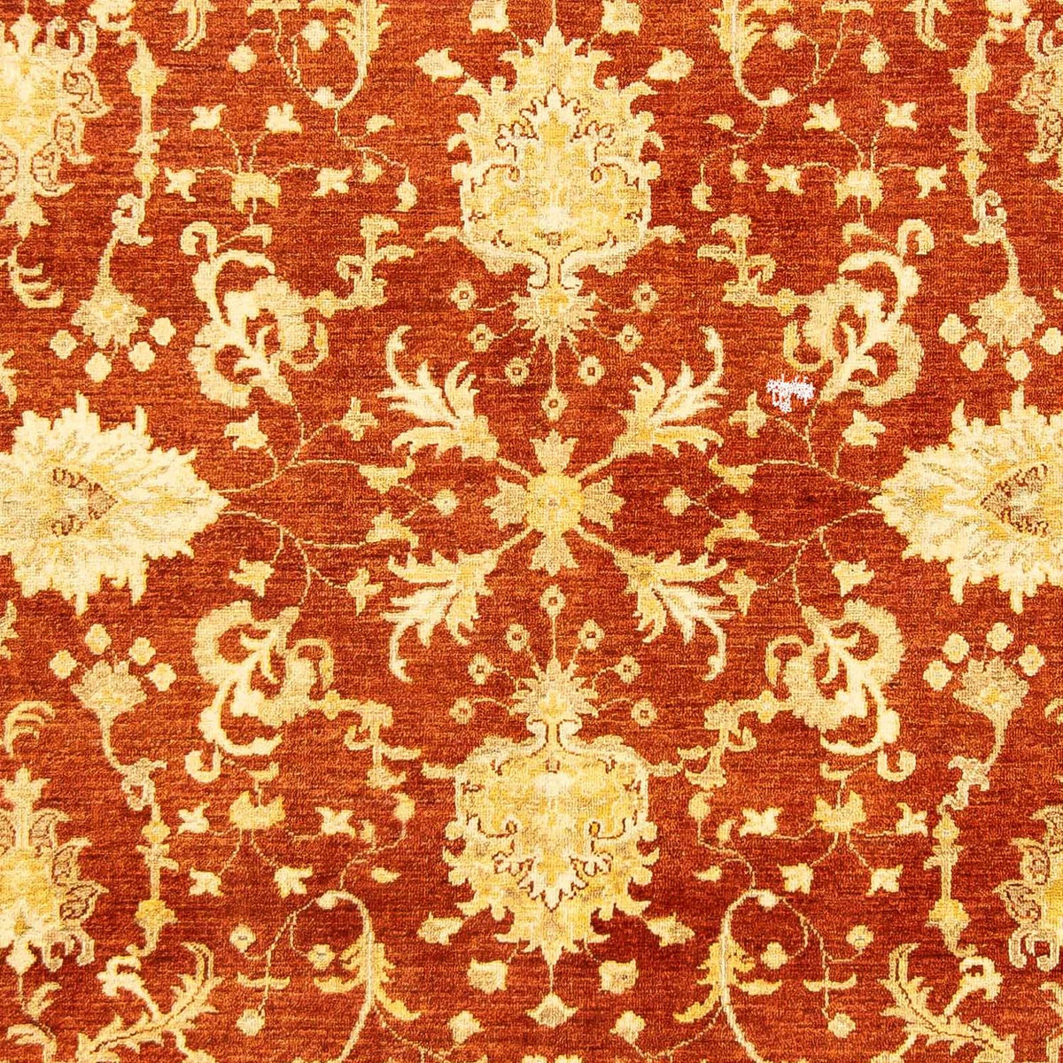 Ziegler tapijt - 251 x 198 cm - donkerrood