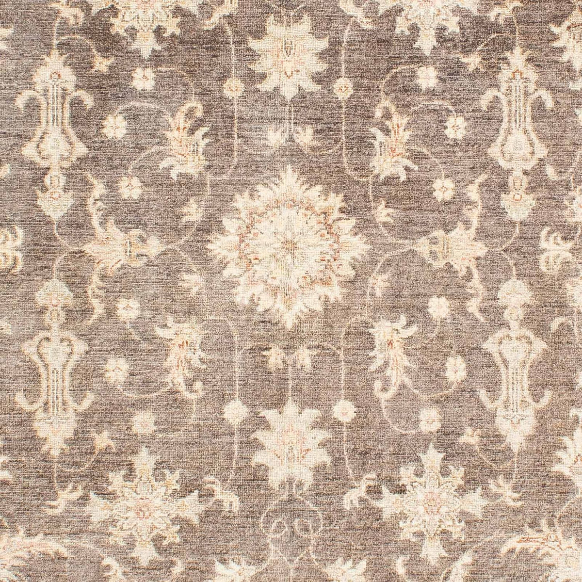 Ziegler tapijt - 236 x 166 cm - beige