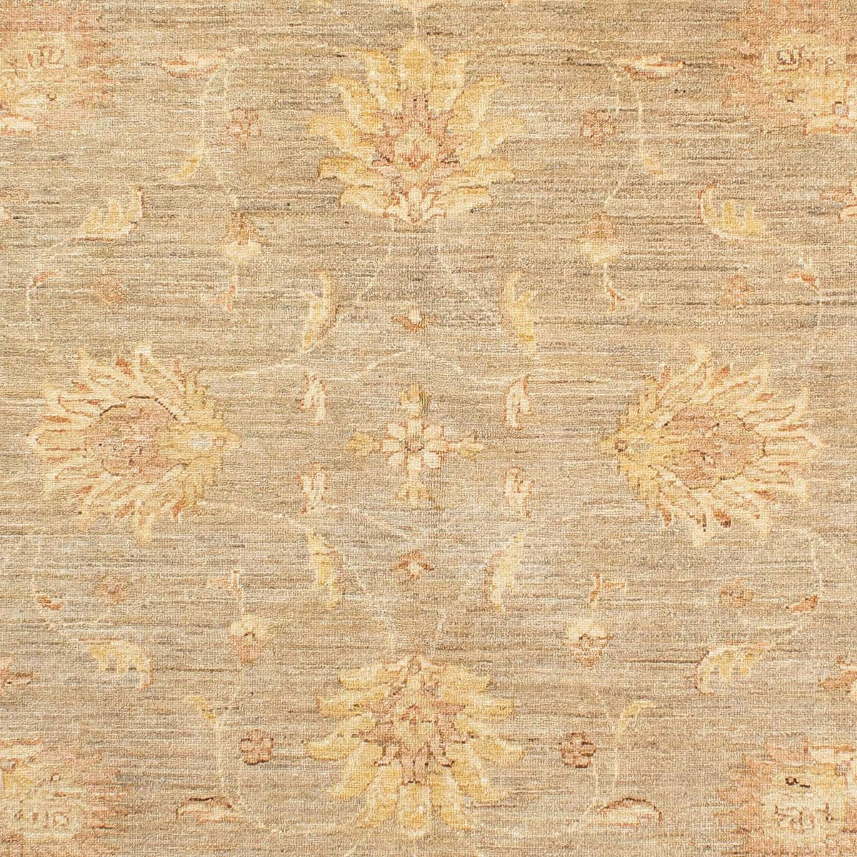 Ziegler tapijt - 241 x 175 cm - beige