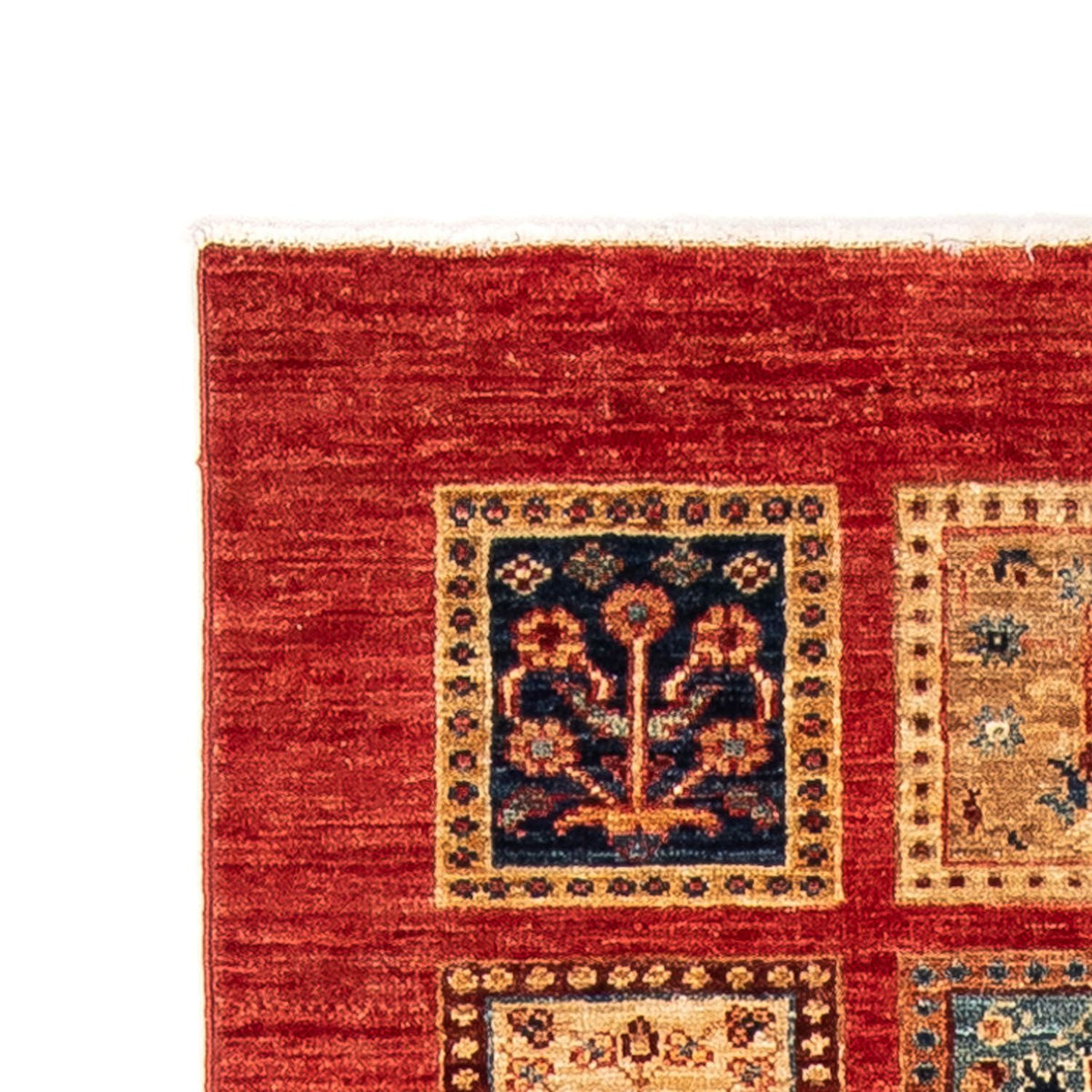 Loper Ziegler tapijt - 245 x 75 cm - rood