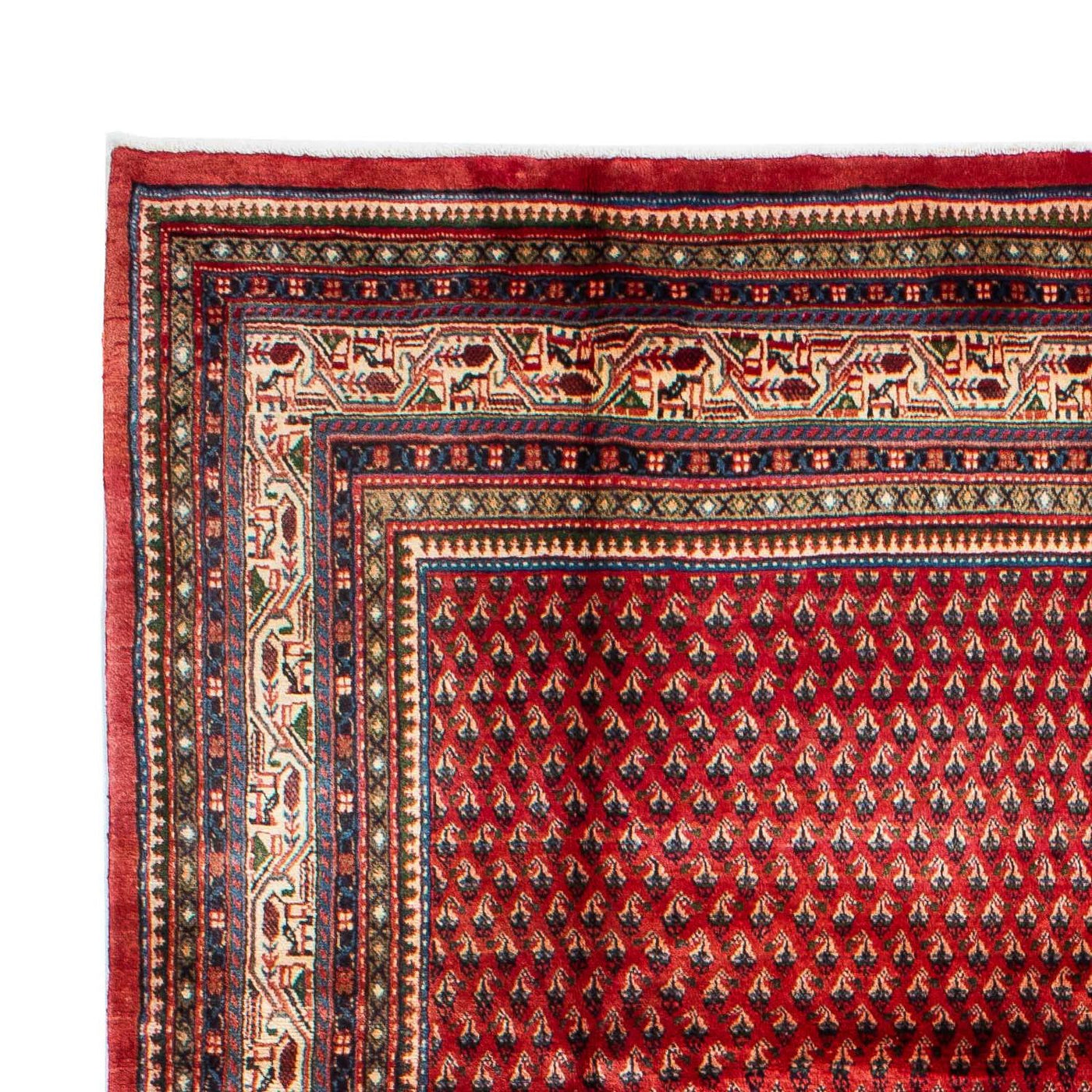 Mir Tapijt 329x214cm - Perzisch tapijt