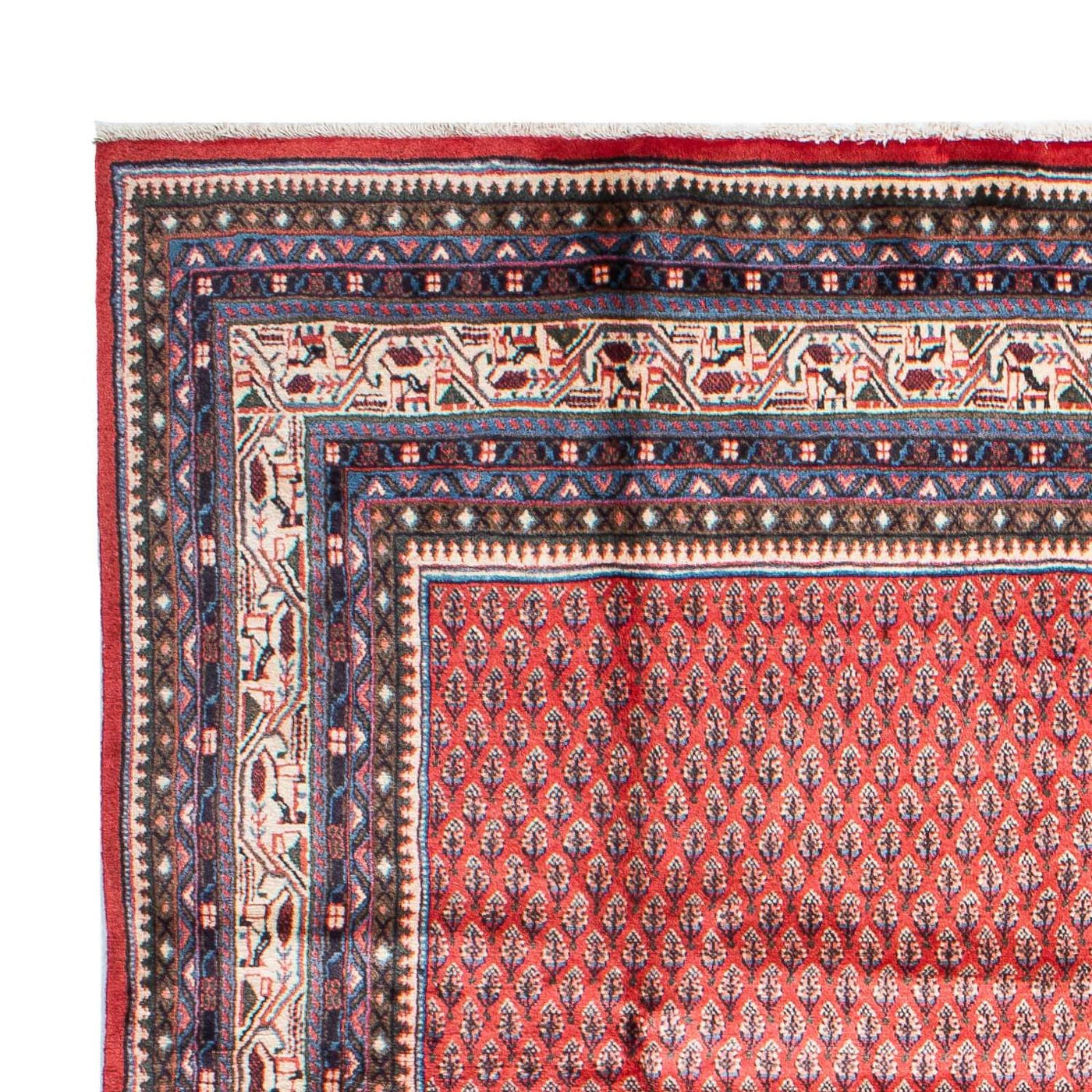 Mir Tapijt 315x215cm - Perzisch tapijt