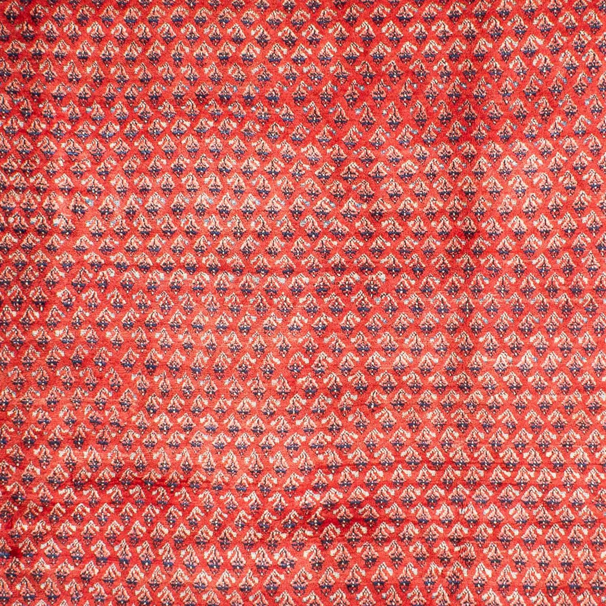 Perzisch tapijt - Mir - 316 x 220 cm - rood