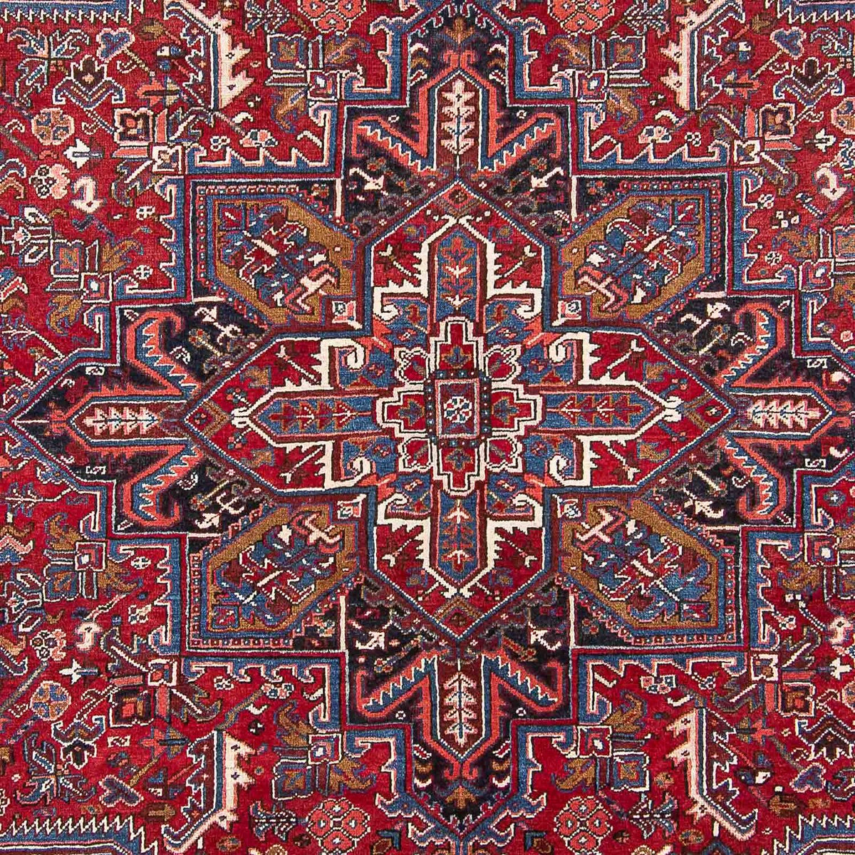 Perzisch Tapijt - Nomadisch - 313 x 250 cm - rood
