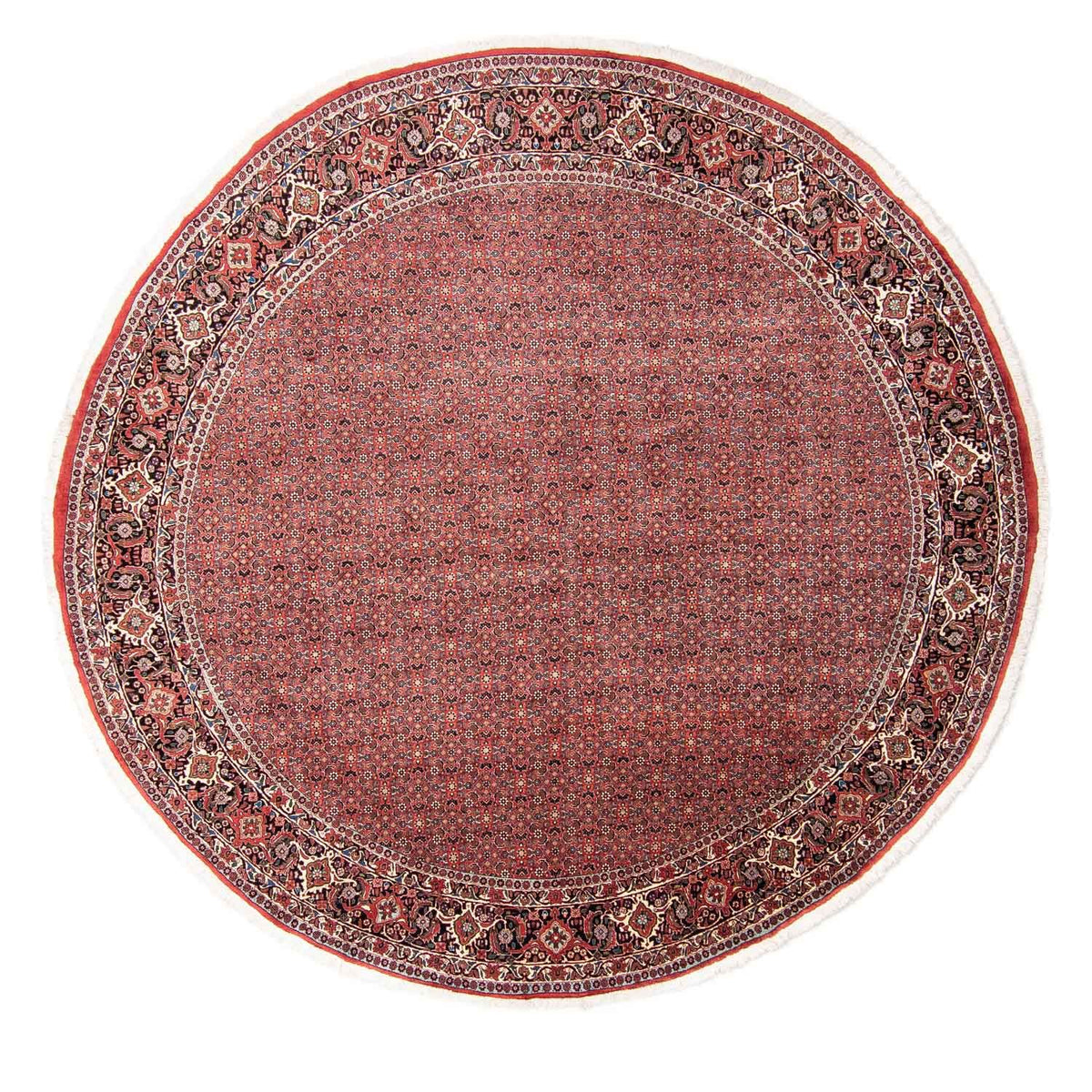 Perzisch tapijt - Bijar rond  - 300 x 300 cm - rood