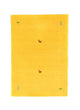 Gabbeh Loom Tapijt Agra - Wollen tapijt